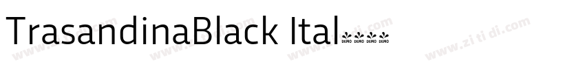 TrasandinaBlack Ital字体转换